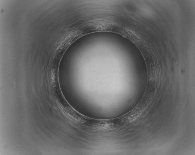 X0000069380646200605150918