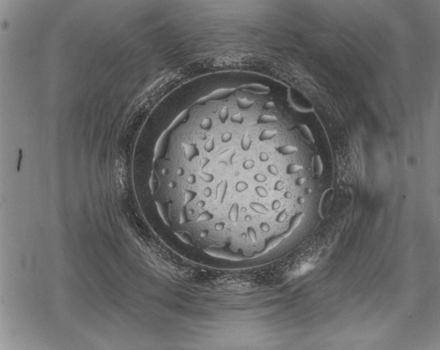 X0000069380648200605150919