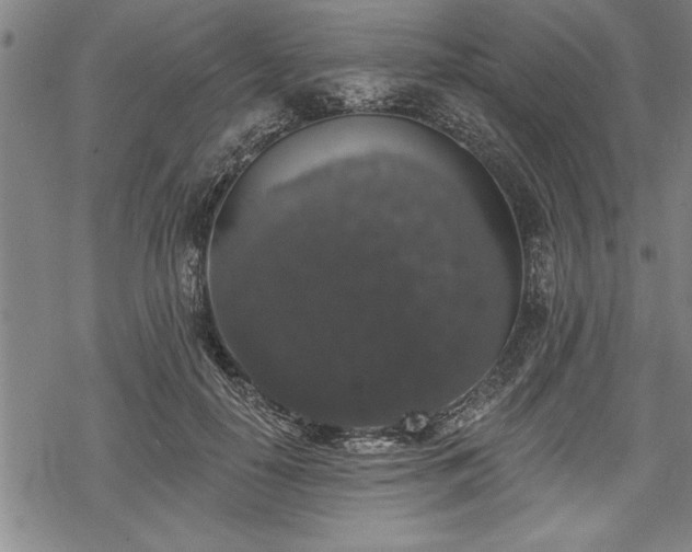 X0000069380650200605150919