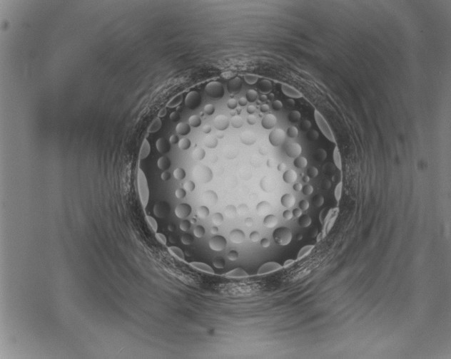 X0000069380652200605150919