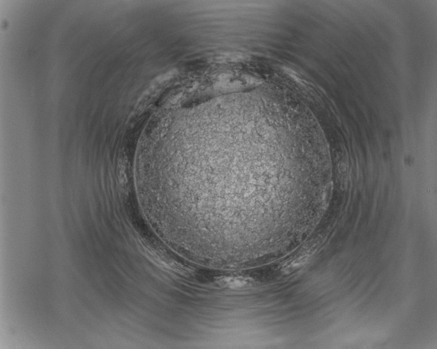 X0000069380654200605150919