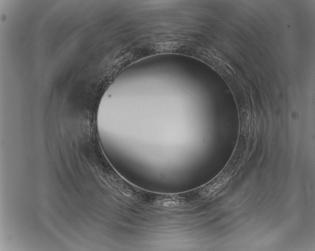 X0000069380655200605150919