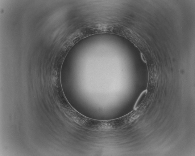 X0000069380656200605150919