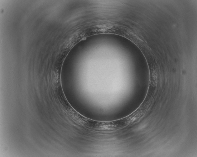 X0000069380657200605150919