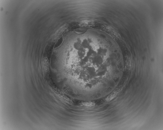 X0000069380659200605150919