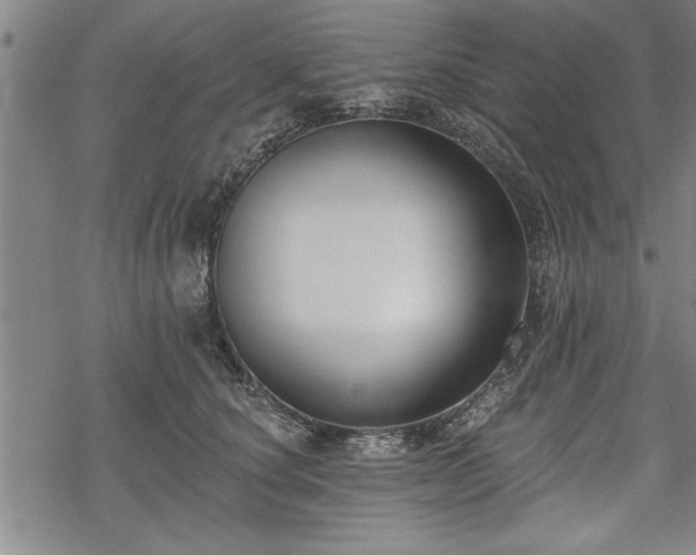 X0000069380660200605150919