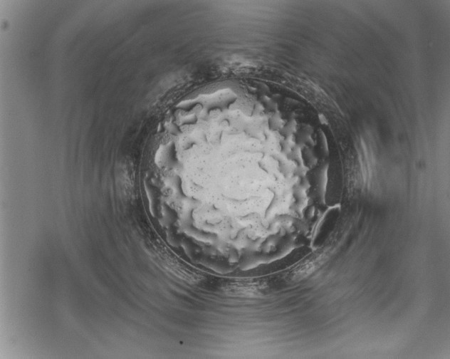 X0000069380661200605150919