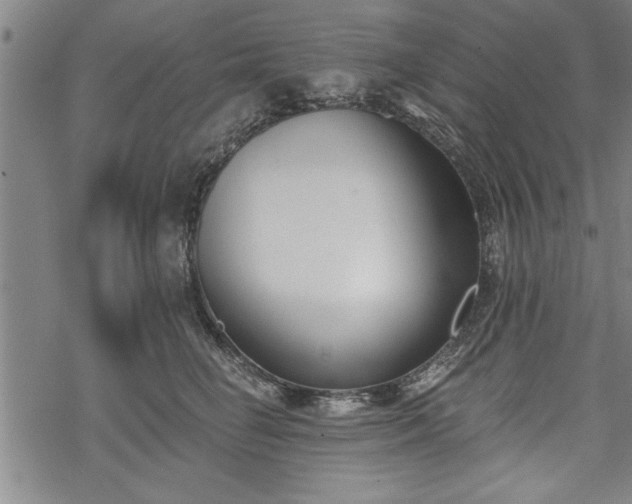 X0000069380662200605150919