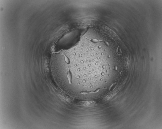 X0000069380663200605150919