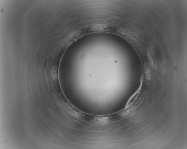 X0000069380665200605150919