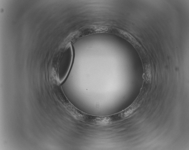 X0000069380667200605150919