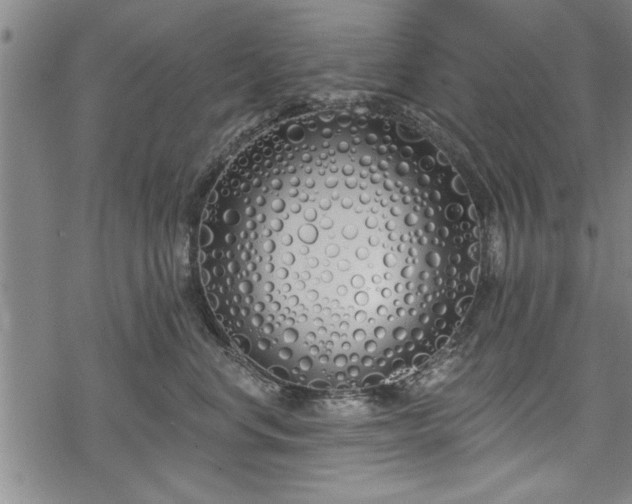 X0000069380668200605150919