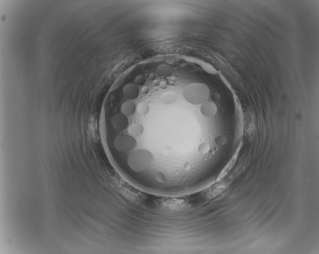 X0000069380669200605150919