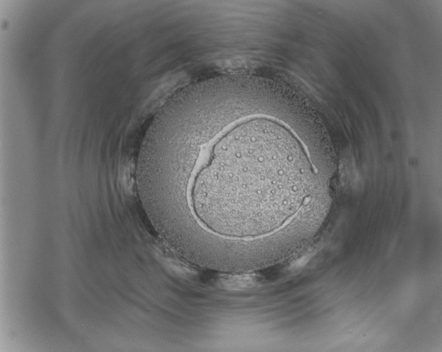 X0000069380671200605150919