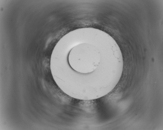 X0000069380672200605150919