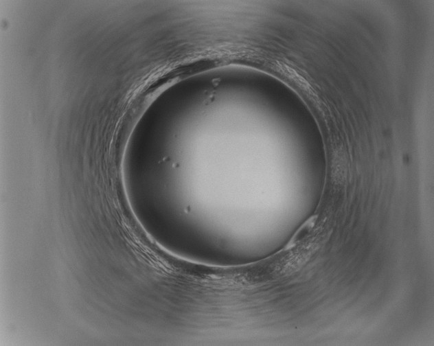 X0000069380673200605150918