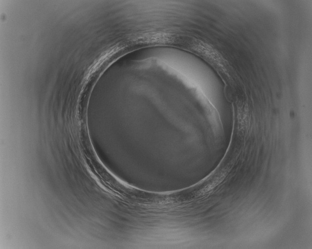 X0000069380674200605150918