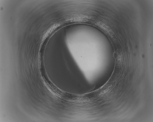 X0000069380678200605150918