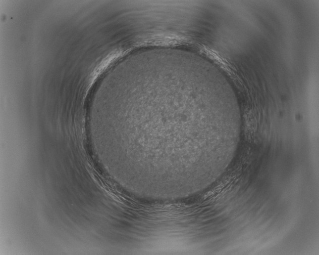 X0000069380679200605150918