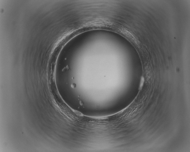 X0000069380680200605150918