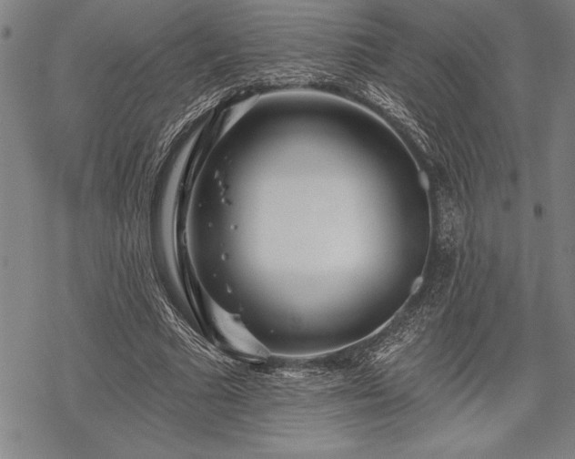 X0000069380681200605150918