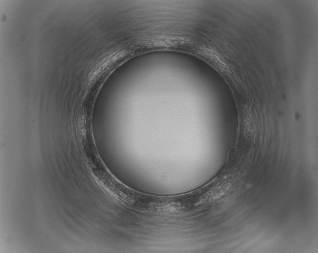 X0000069380683200605150918