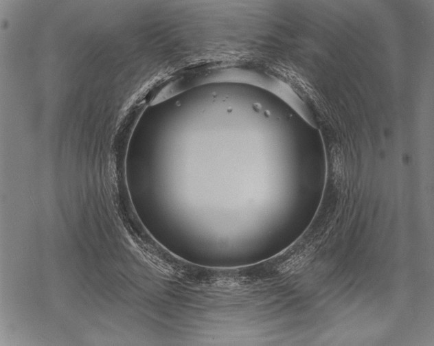 X0000069380684200605150918