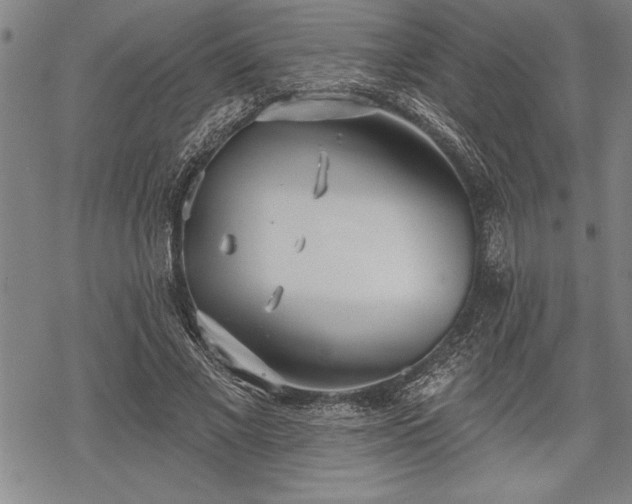 X0000069380685200605150918