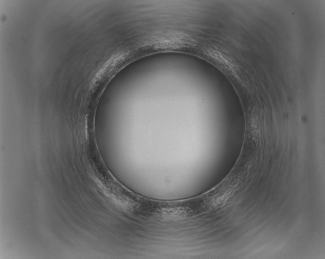 X0000069380686200605150918