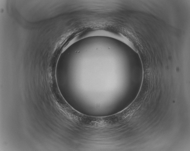 X0000069380688200605150918