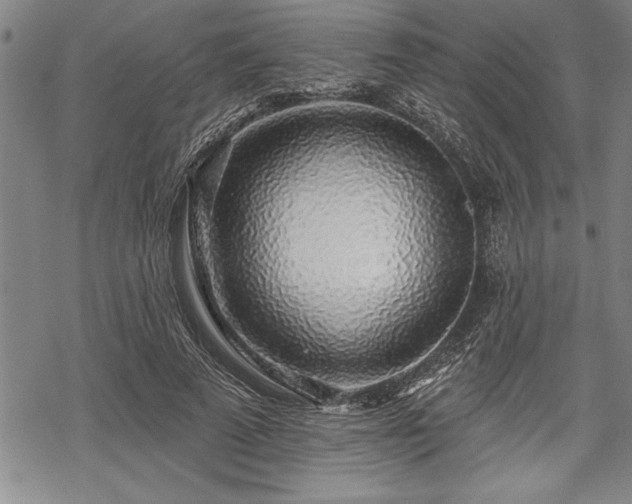 X0000069380689200605150918