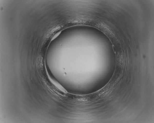 X0000069380692200605150918