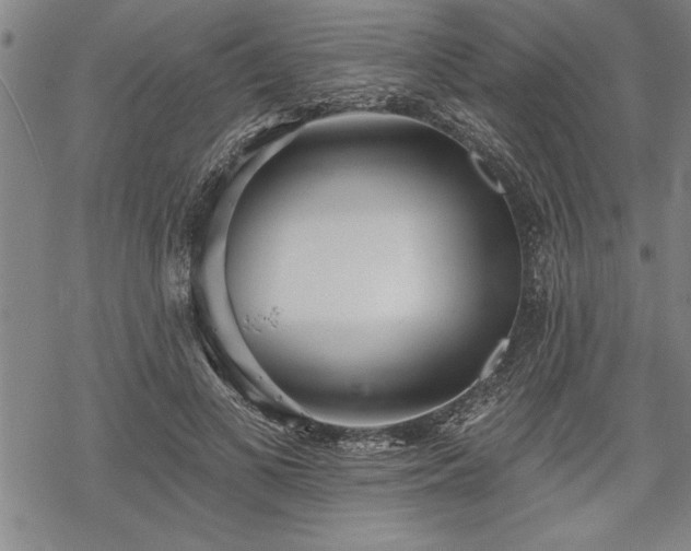 X0000069380693200605150918