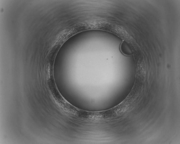 X0000069380694200605150918