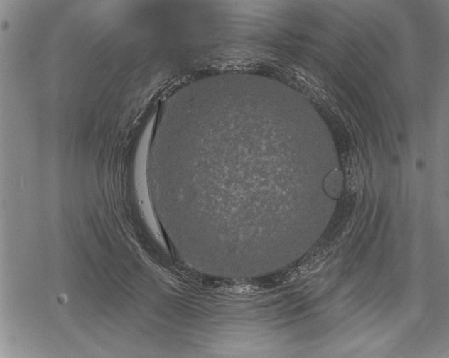 X0000069380695200605150918