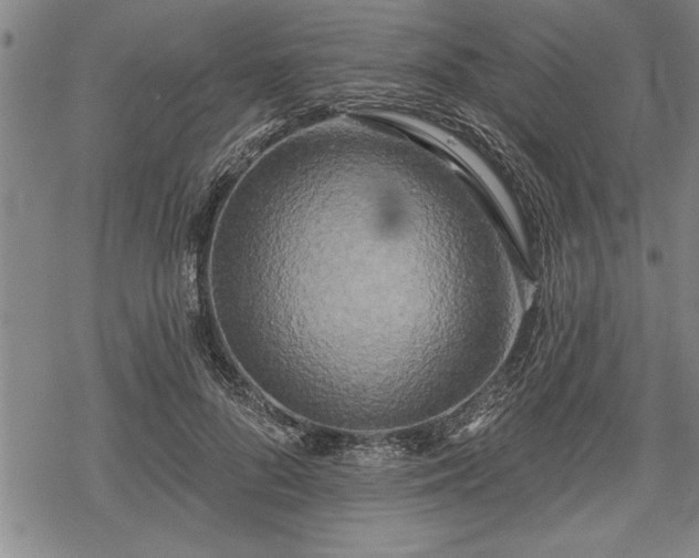 X0000069380696200605150918