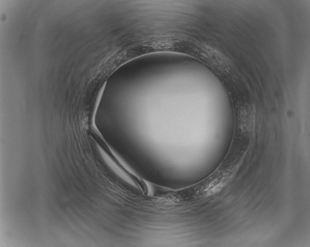 X0000069380697200605150918