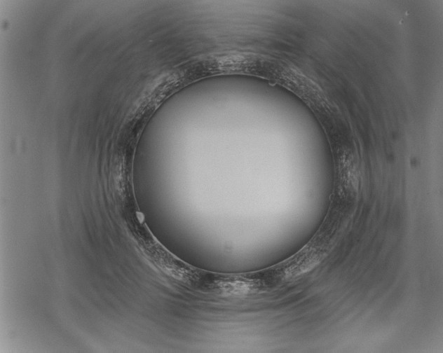 X0000069380698200605150918