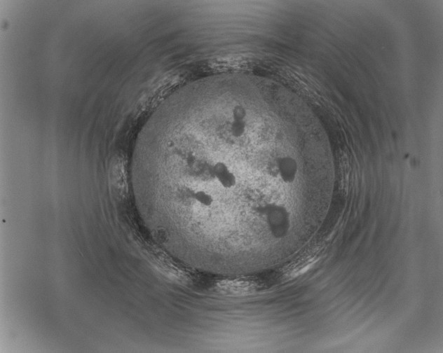 X0000069380699200605150918