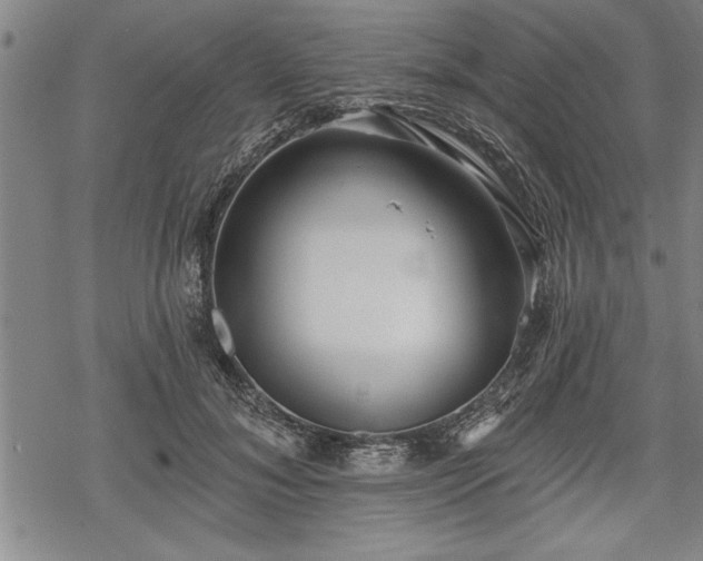 X0000069380700200605150918