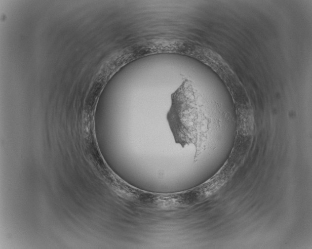 X0000069380701200605150918