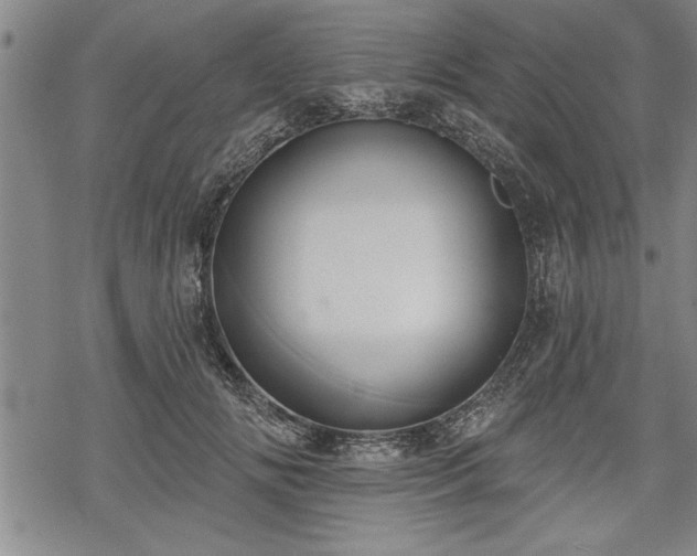 X0000069380702200605150918