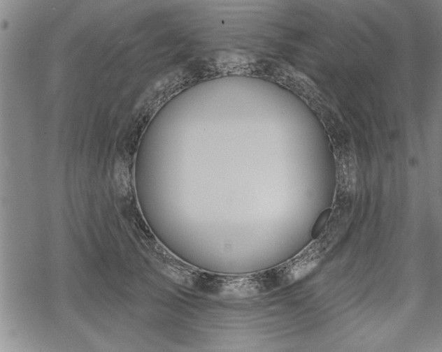 X0000069380705200605150918