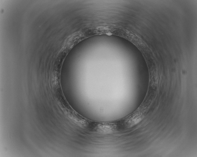 X0000069380706200605150917