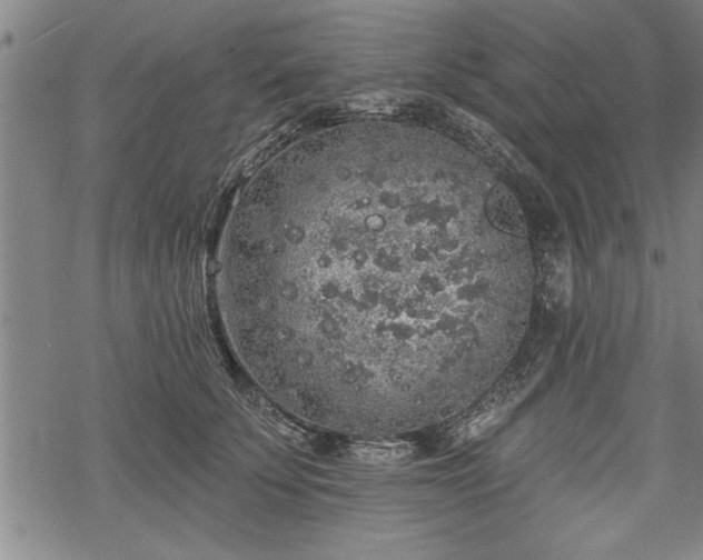 X0000069380707200605150917