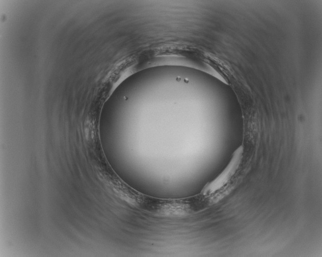 X0000069380708200605150917