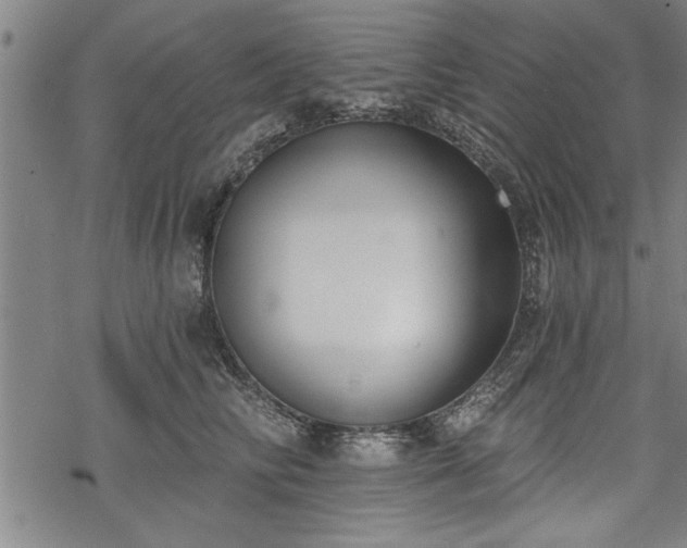 X0000069380710200605150917