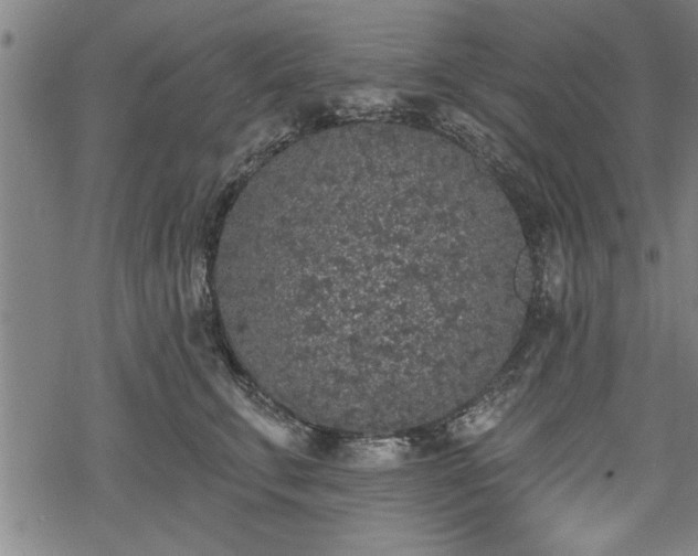 X0000069380711200605150917