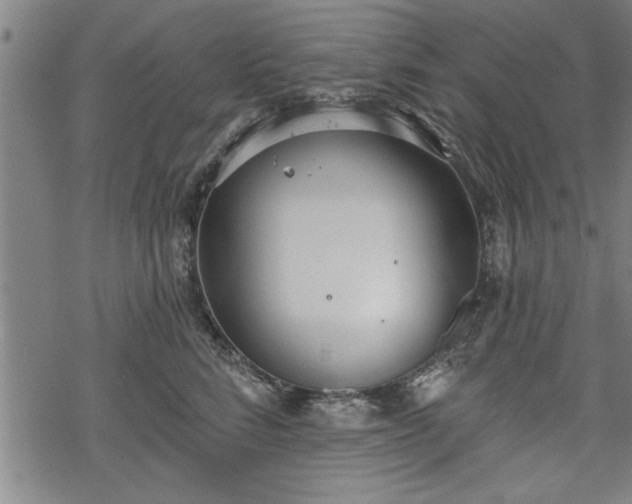 X0000069380712200605150917