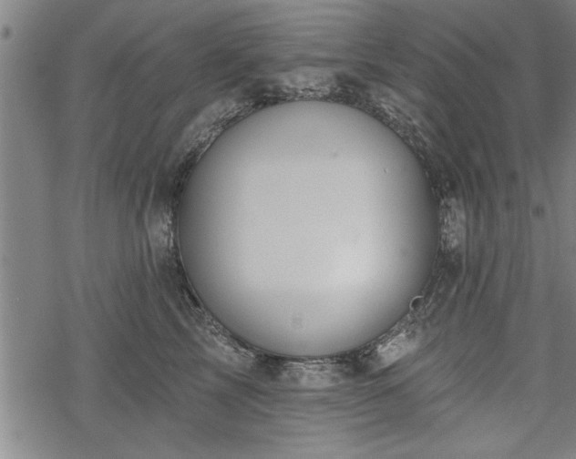 X0000069380713200605150917